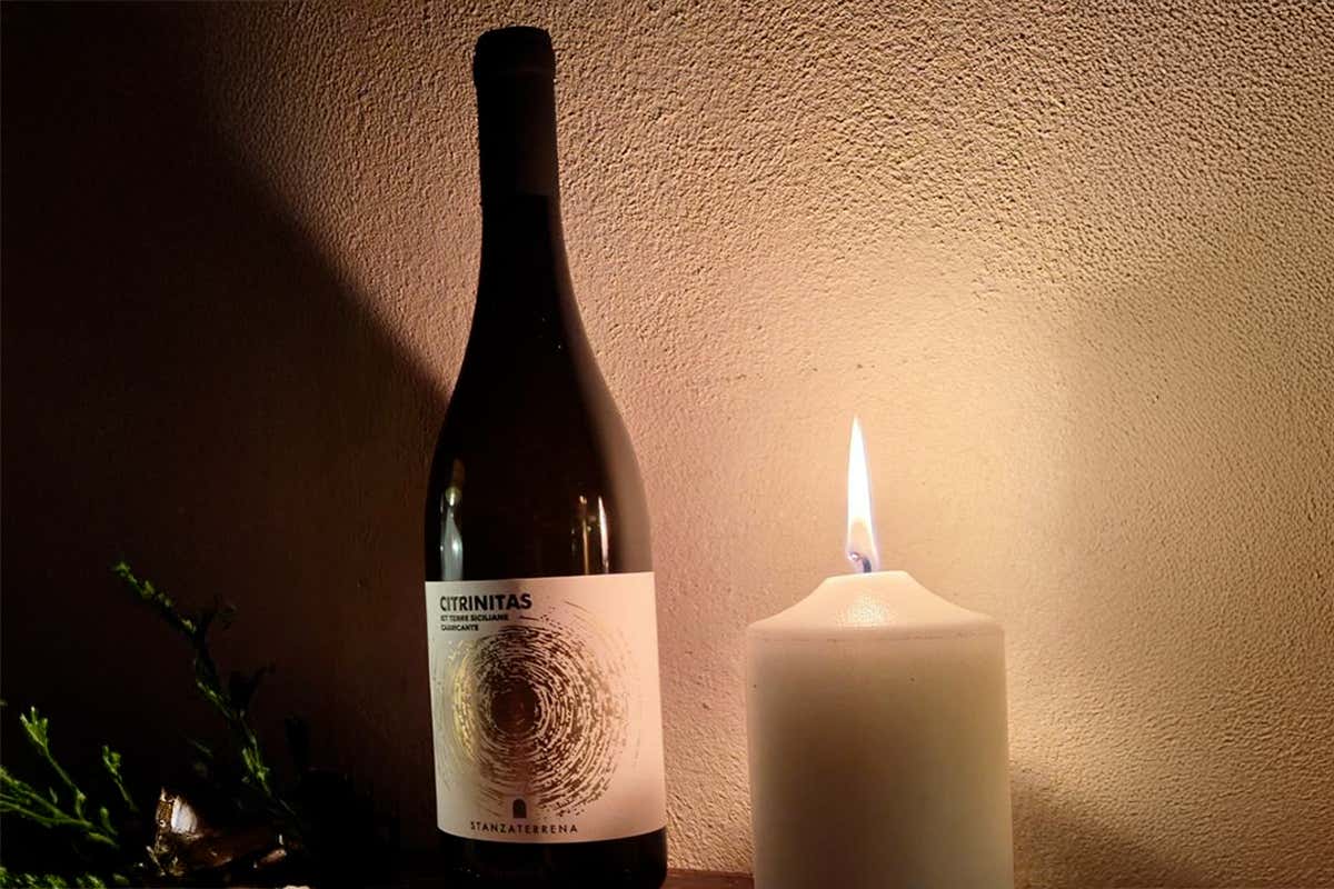 Vini alchemici sull’Etna: il viaggio sensoriale di Stanza Terrena