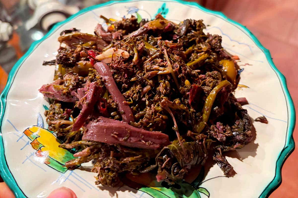 Vini alchemici sull’Etna: il viaggio sensoriale di Stanza Terrena