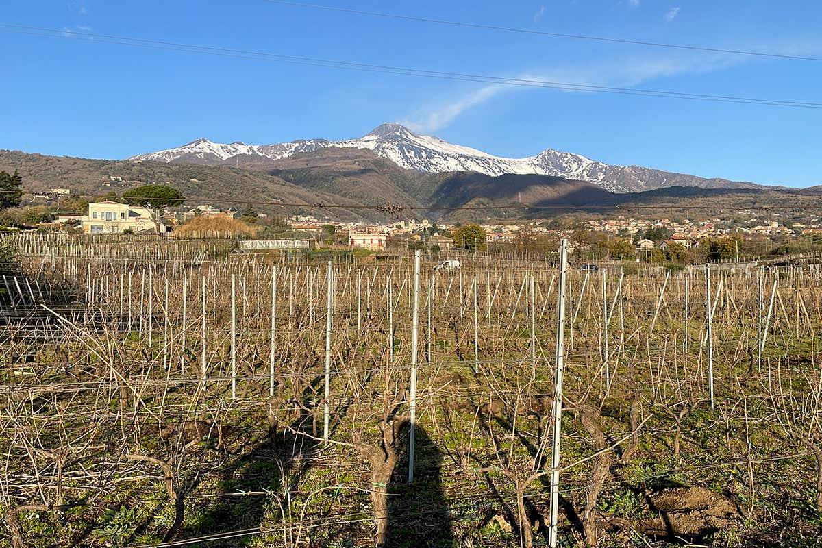 Oro d’Etna presenta i nuovi spumanti 2024: un orange e tre metodo classico