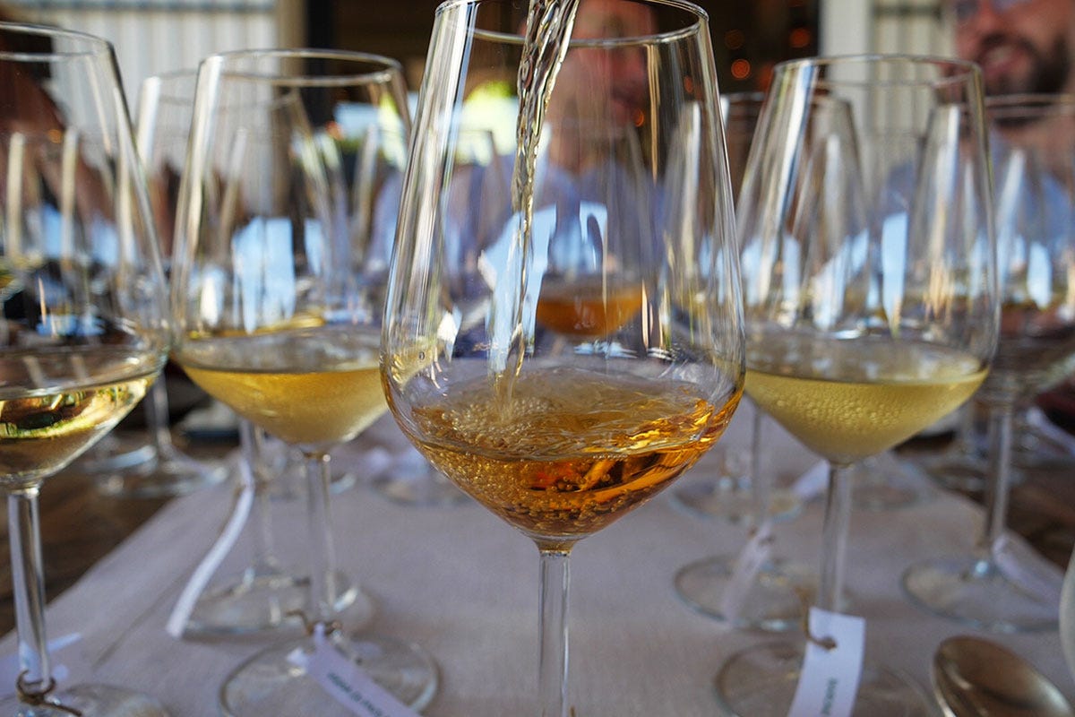 La Malvasia nel bicchiere Il vino alle Eolie, una storia lunga 4mila anni