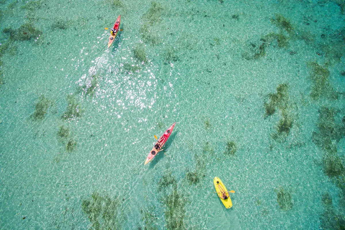 Constance Hotels Resorts, vacanze eco-chic alle Seychelles