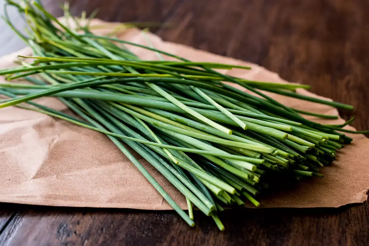 Una pianta aromatica dalla mille virt&ugrave; Erba cipollina, pianata aromatica dai tanti benefici