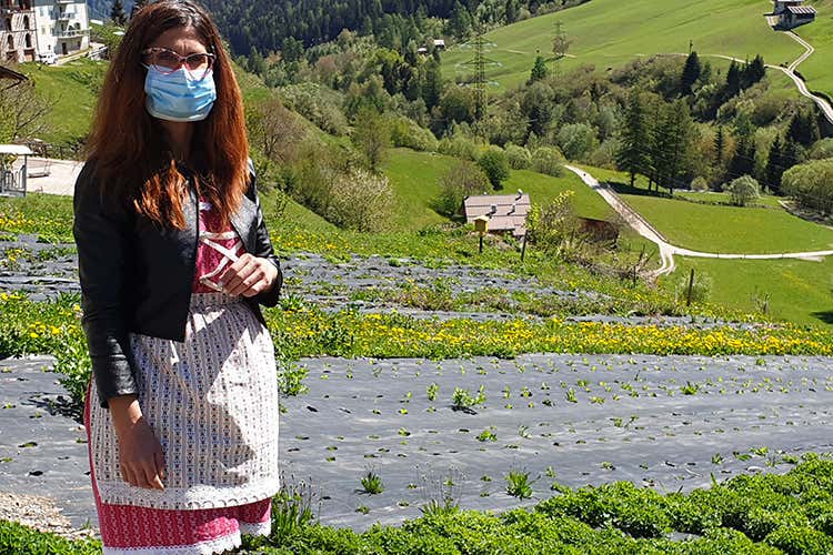 Le erbe armoniche di Sofia Panizza Vengono coltivate a suon di musica