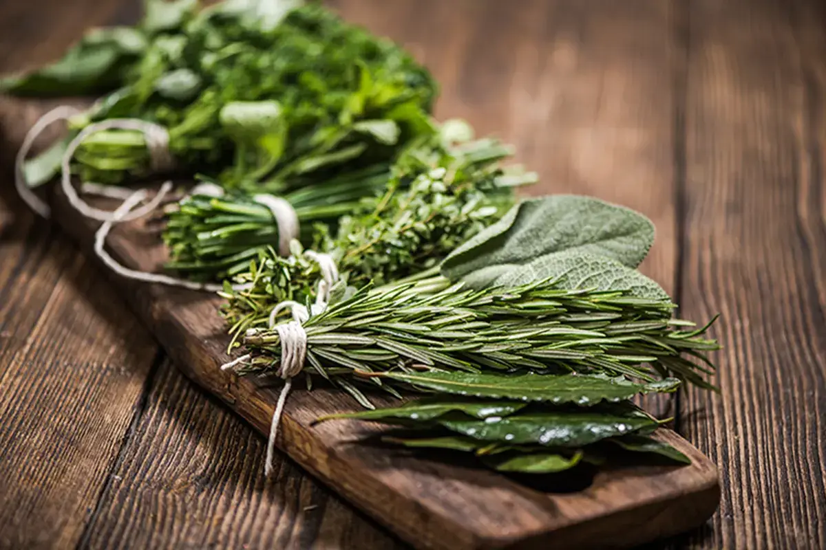 Ogni erba, benefici particolari Quanti benefici dalle erbe aromatiche