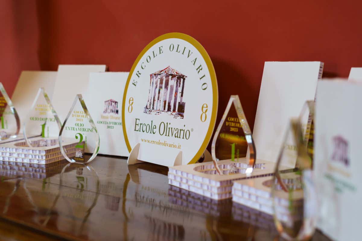 Premio Ercole Olivario 2025, ecco tutti i vincitori Premio Ercole Olivario 2025, ecco tutti i vincitori