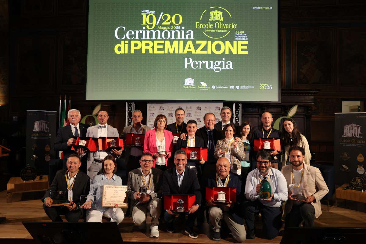 Premio Ercole Olivario 2025, ecco tutti i vincitori Premio Ercole Olivario 2025, ecco tutti i vincitori