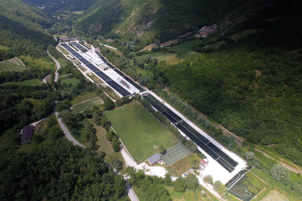 Erede Rossi Silvio, da allevamento di trote nelle Marche a modello italiano in Europa Erede Rossi Silvio, da allevamento di trote nelle Marche a modello italiano in Europa