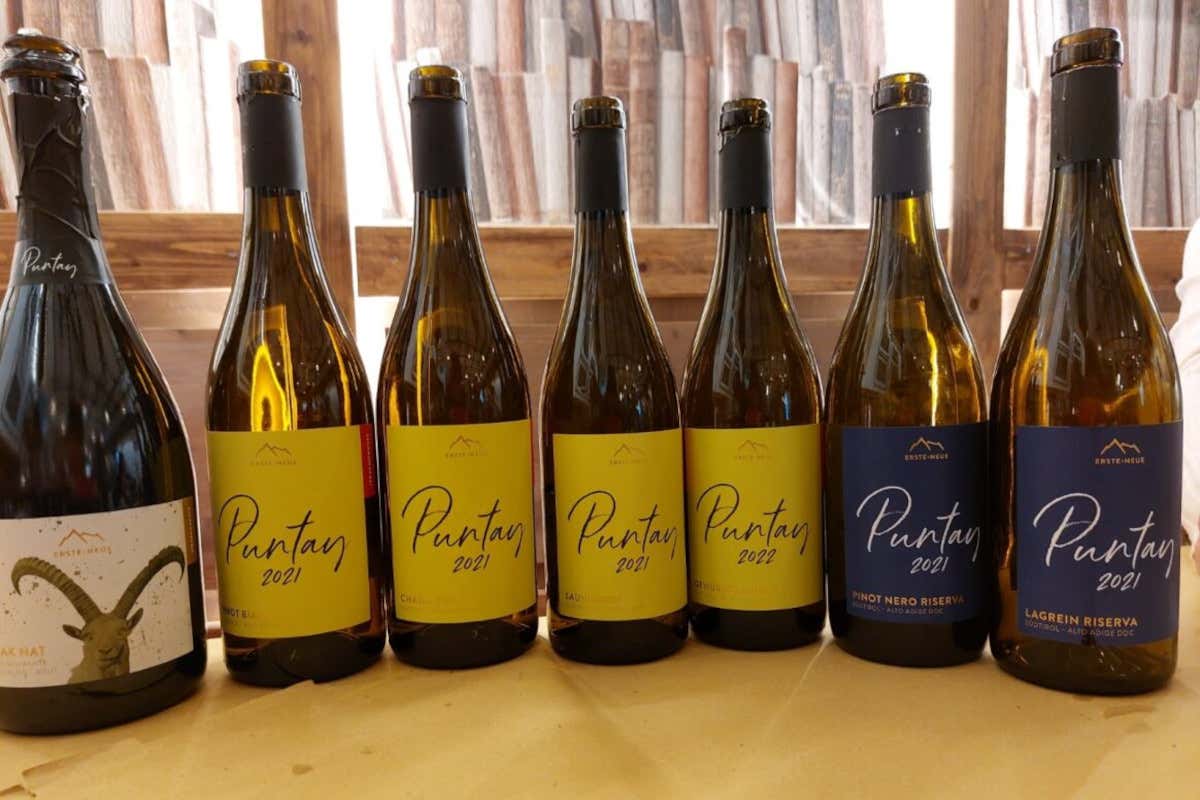 Dalle Alpi al Vesuvio: i vini di Erste+Neue incontrano la cucina napoletana