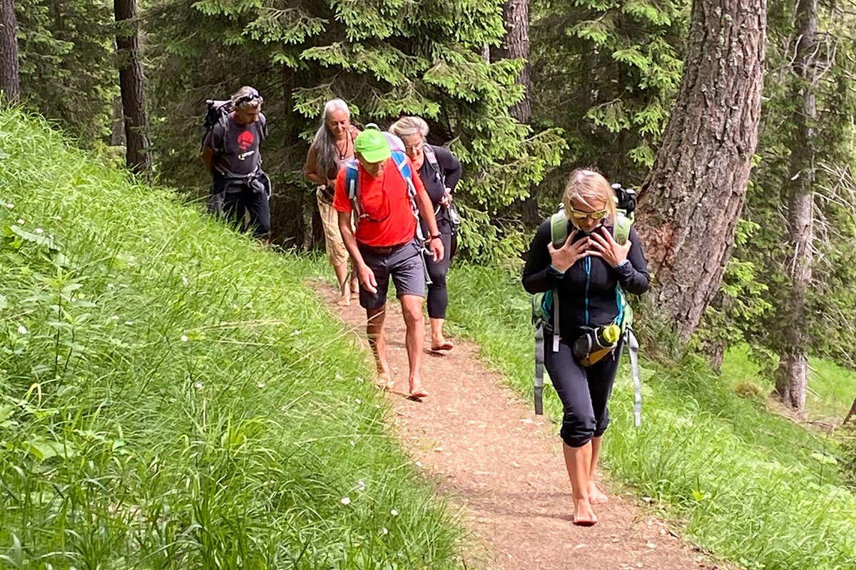 I sentieri individuati a San Martino di Castrozza sono tre Escursioni a piedi nudi: a San Martino tre nuovi sentieri I sentieri individuati a San Martino di Castrozza sono tre Escursioni a piedi nudi: a San Martino tre nuovi sentieri