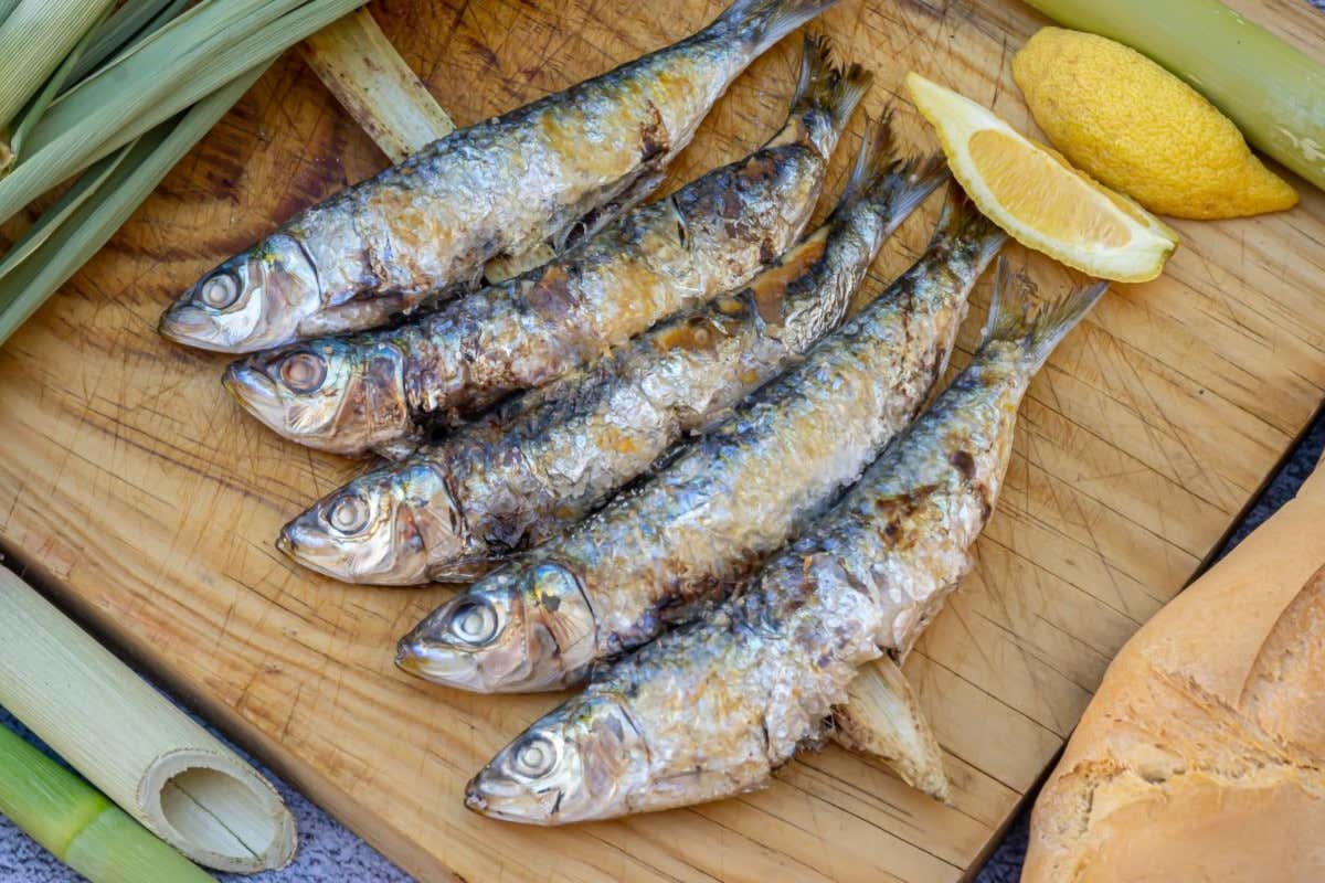 Alla scoperta dei sapori iberici: un tour gastronomico della Spagna Alla scoperta dei sapori iberici: un tour gastronomico della Spagna