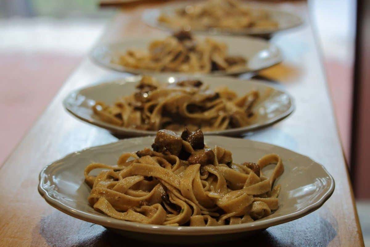 Il Molise esiste, eccome. Viverlo nell'agriturismo Essentia lo rende speciale