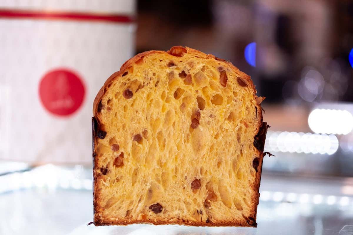 Il Panettone estivo con pezzi di pesca candita - Foto CoffeeAndLucas_MyMedia Studio Casa Manfredi festeggia sette anni di successi