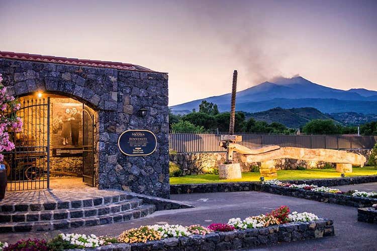 (Dall'Etna i vini di Cantine Nicosia Il vulcano rivive nella mineralit&agrave;)