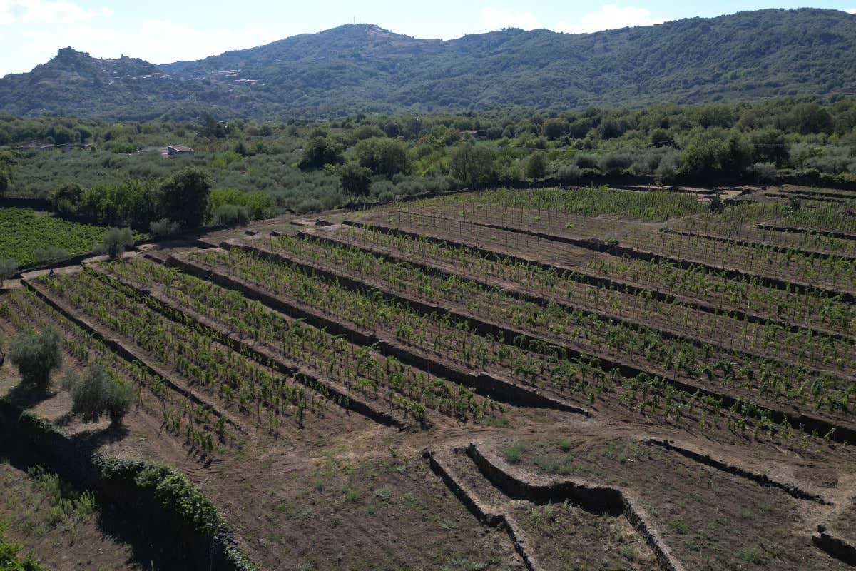 Tenuta Etna Nord: tre vini e otto contrade per raccontare il vulcano