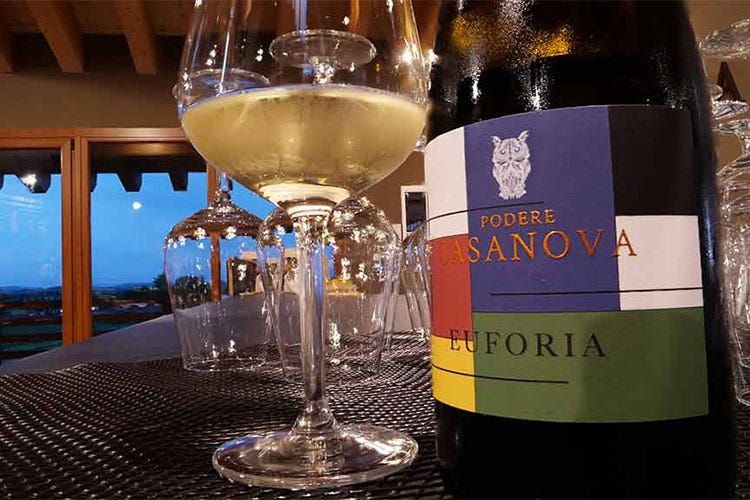 Euforia: Chardonnay, Grechetto, Verdello Toscana agreste, Podere Casanova Qui il benessere è la regola