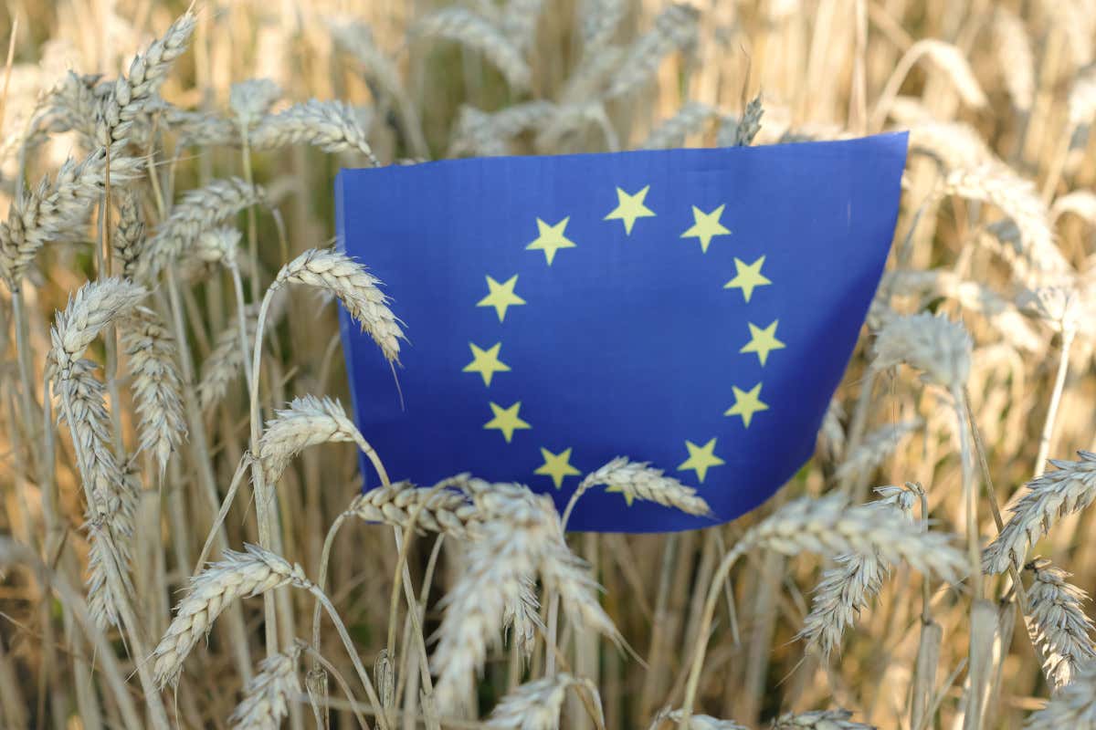 Chi protegge il gusto? L'Unione europea risponde con l'Arepo