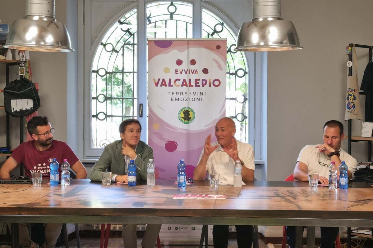 Il vino in piazza: ecco il programma di Evviva Valcalepio 2025 a Bergamo Il vino in piazza: ecco il programma di Evviva Valcalepio 2025 a Bergamo