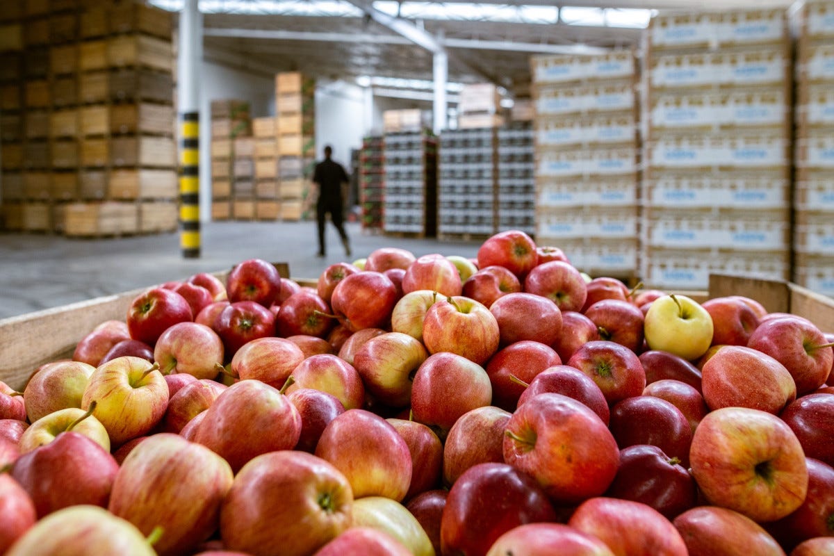 Export alimentare record storico di vendite nel 2023 con un  13%