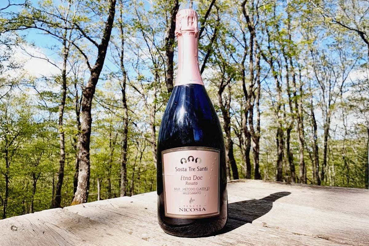 Bollicine di Sicilia: cinque Metodo Classico per brindare durante le feste Bollicine di Sicilia: cinque Metodo Classico per brindare durante le feste