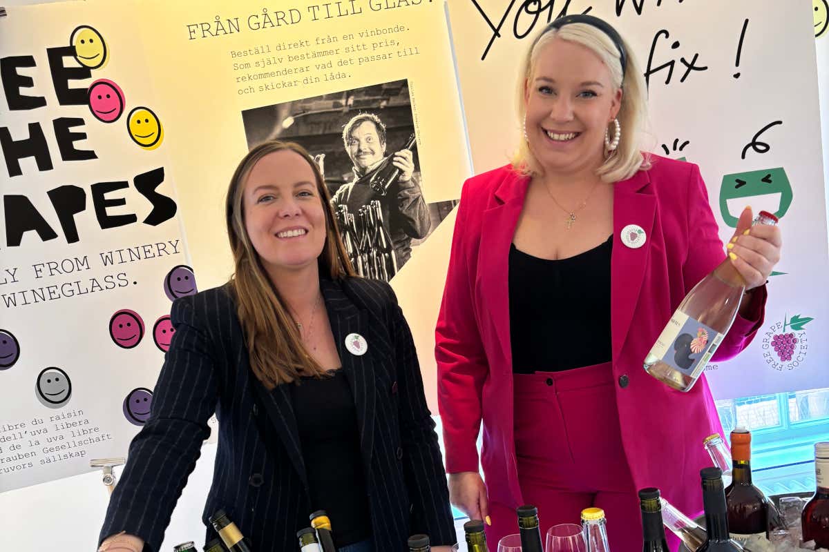 Italia del vino tra euforia e allarme: cosa ci insegna la vendemmia 2025 Italia del vino tra euforia e allarme: cosa ci insegna la vendemmia 2025