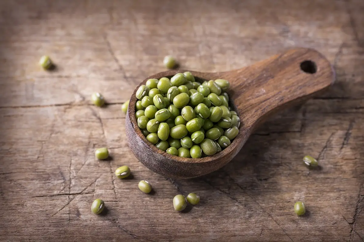 Fagiolo mungo Proteine da fagiolo mungo: l&rsquo;ok Efsa al nuovo alimento