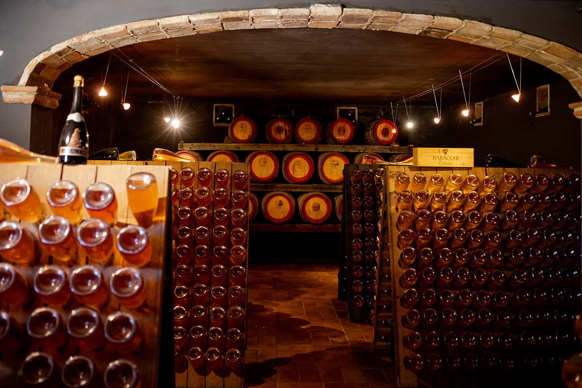 Esperienza Wine Immersion tra la cantina e i vigneti della Baracchi Winery