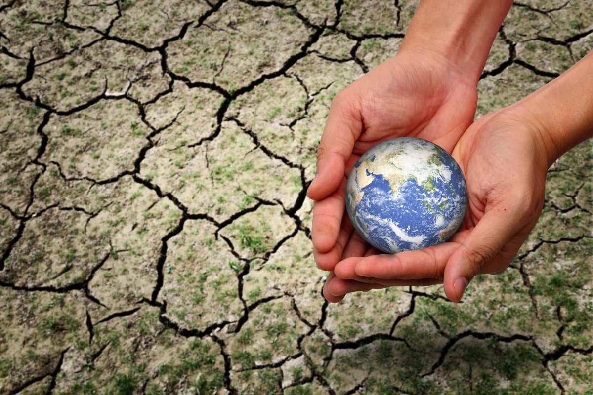 ?Tre miliardi di persone non possono permettersi un’alimentazione sana Contro la fame del mondo servono sistemi agroalimentari efficienti