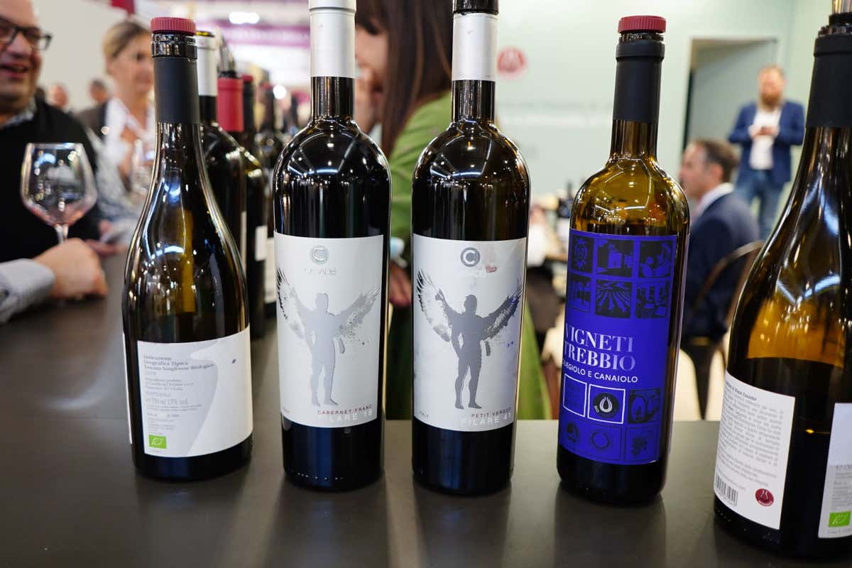 Famiglia Casadei, fare vino seguendo la filosofia biointegrale Famiglia Casadei, fare vino seguendo la filosofia biointegrale