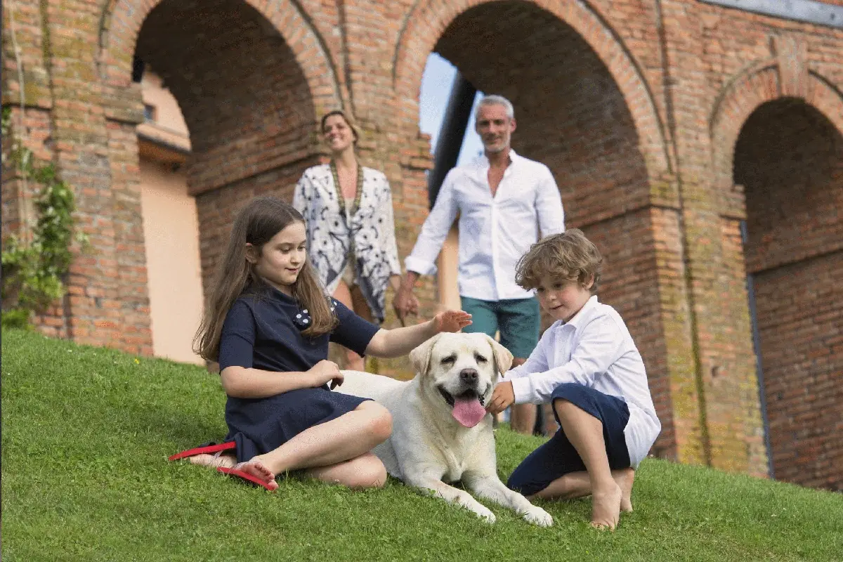 Fontanaverde Porti il cane in vacanza? Come scegliere l’hotel e i servizi davvero pet friendly