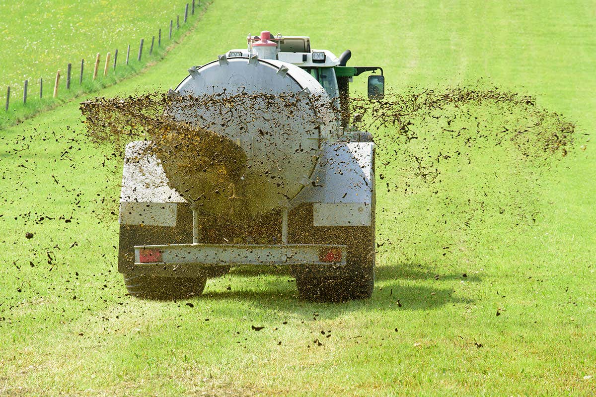 Coldiretti: il prezzo di pere, paste e pesce è salito alle stelle Coldiretti: il prezzo di pere, paste e pesce è salito alle stelle