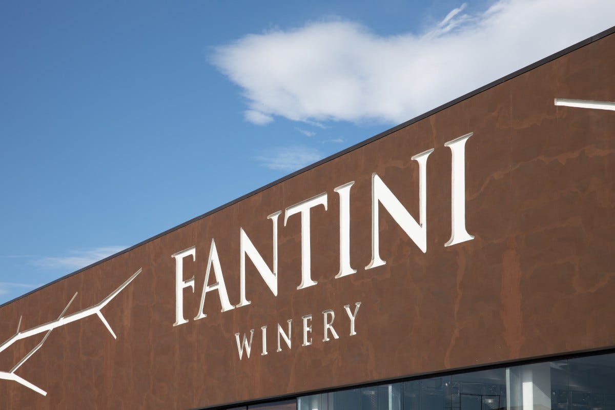 Il nuovo sito web user-friendly di Fantini spalancato su vini e territori