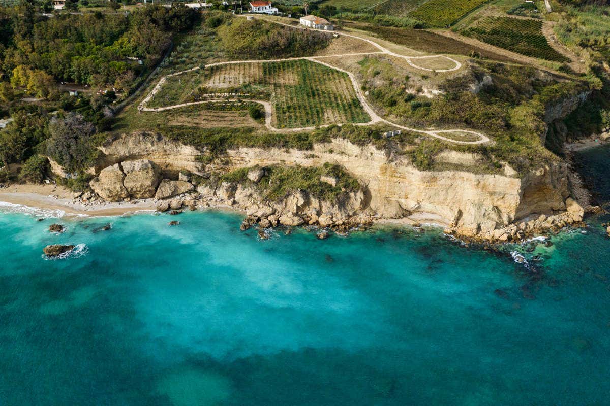 L’enologia sostenibile di Fantini Group per tutelare l’ambiente