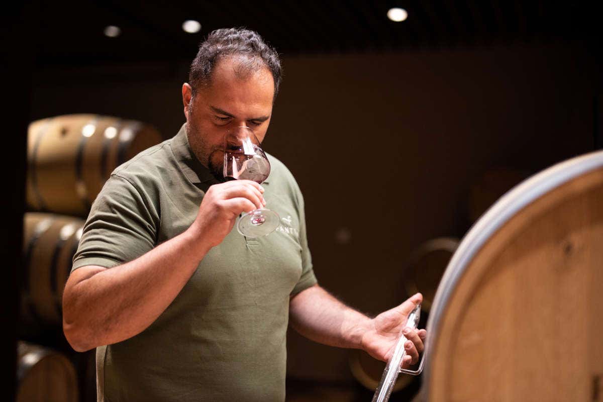 L’enologia sostenibile di Fantini Group per tutelare l’ambiente