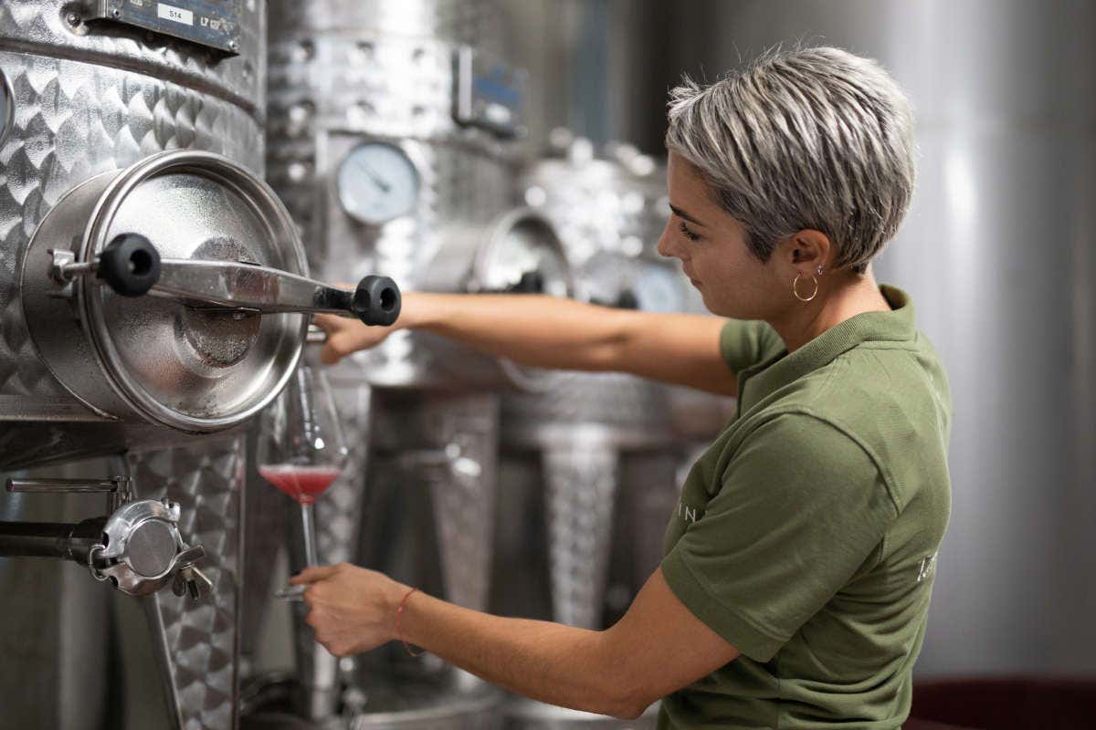 L’enologia sostenibile di Fantini Group per tutelare l’ambiente