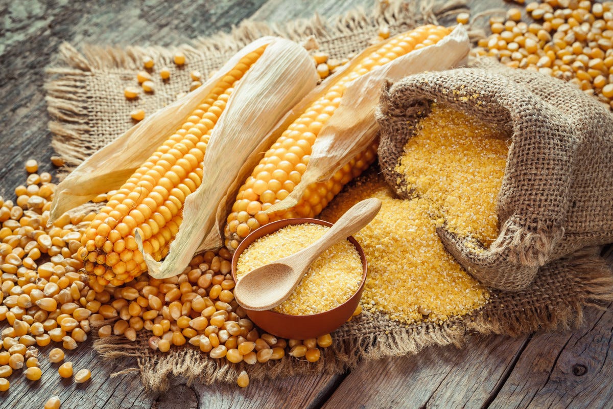 Farina di mais, quali sono le sue proprietà?