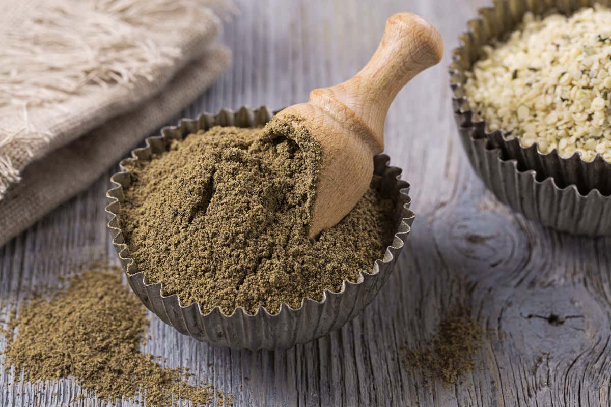 Scopriamo tutte le proprietà della canapa alimentare