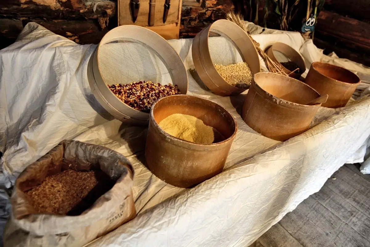 In Carnia venivano coltivati fin dal Medioevo grano, orzo, grano saraceno (pajan), segale Formaggi di malga e farine di montagna: segreti e sapori a Sutrio