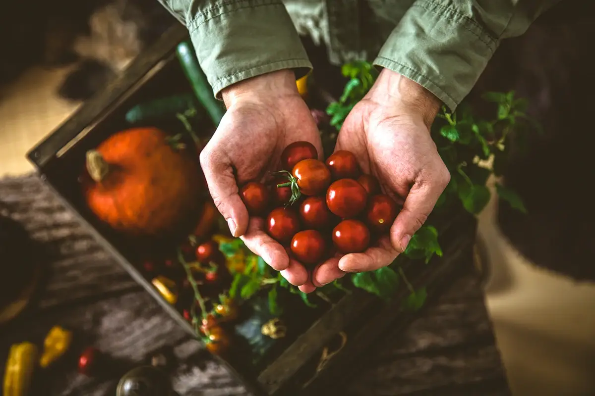 F2F &egrave; sorta di strategia dal produttore al consumatore Farm to Fork, ecco come la ristorazione pu&ograve; (e deve) fare la differenza