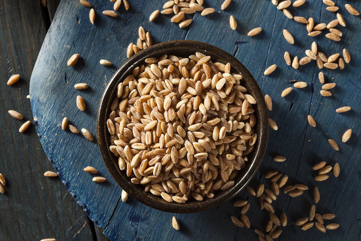 Il farro rappresenta una valida alternativa ai cereali raffinati Farro, ricco di proteine amico degli sportivi