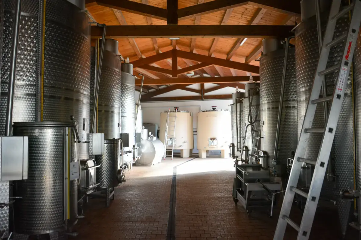 Orcia Doc, tradizione ed alta enologia tra le colline senesi