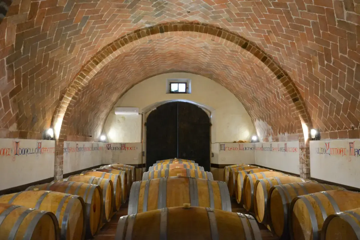 Orcia Doc, tradizione ed alta enologia tra le colline senesi