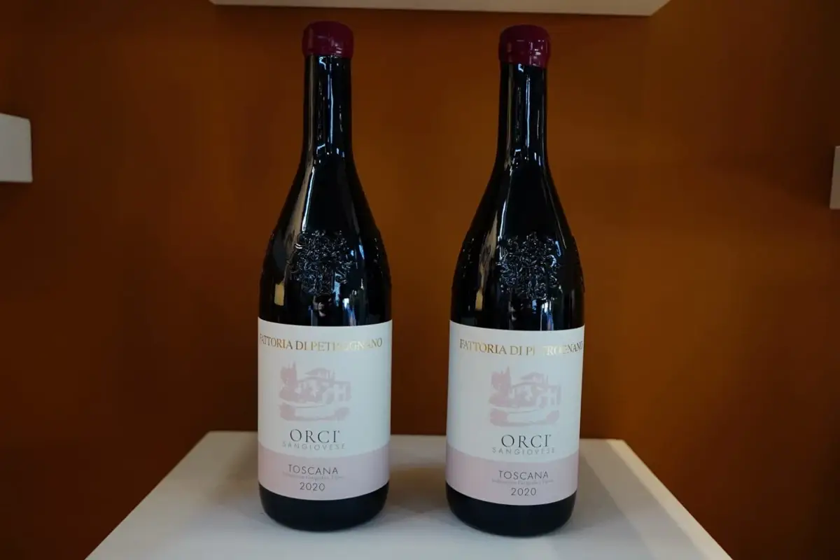 Fattoria di Petrognano, i vini toscani della famiglia Pellegrini