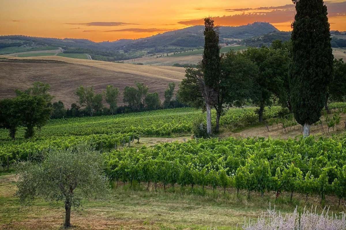 Fattoria della Talosa e i 4 moschettieri di Nobile di Montepulciano Riserva Docg