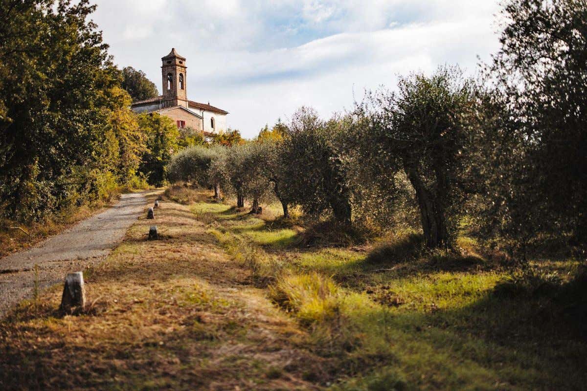 Profumi e gusti autentici della Toscana nei vini della Fattoria Villa Saletta