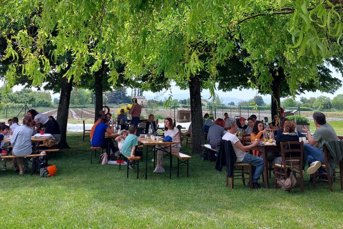 Emilia Romagna, tornano le “Fattorie aperte”: visite, degustazioni e laboratori Emilia Romagna, tornano le “Fattorie aperte”: visite, degustazioni e laboratori