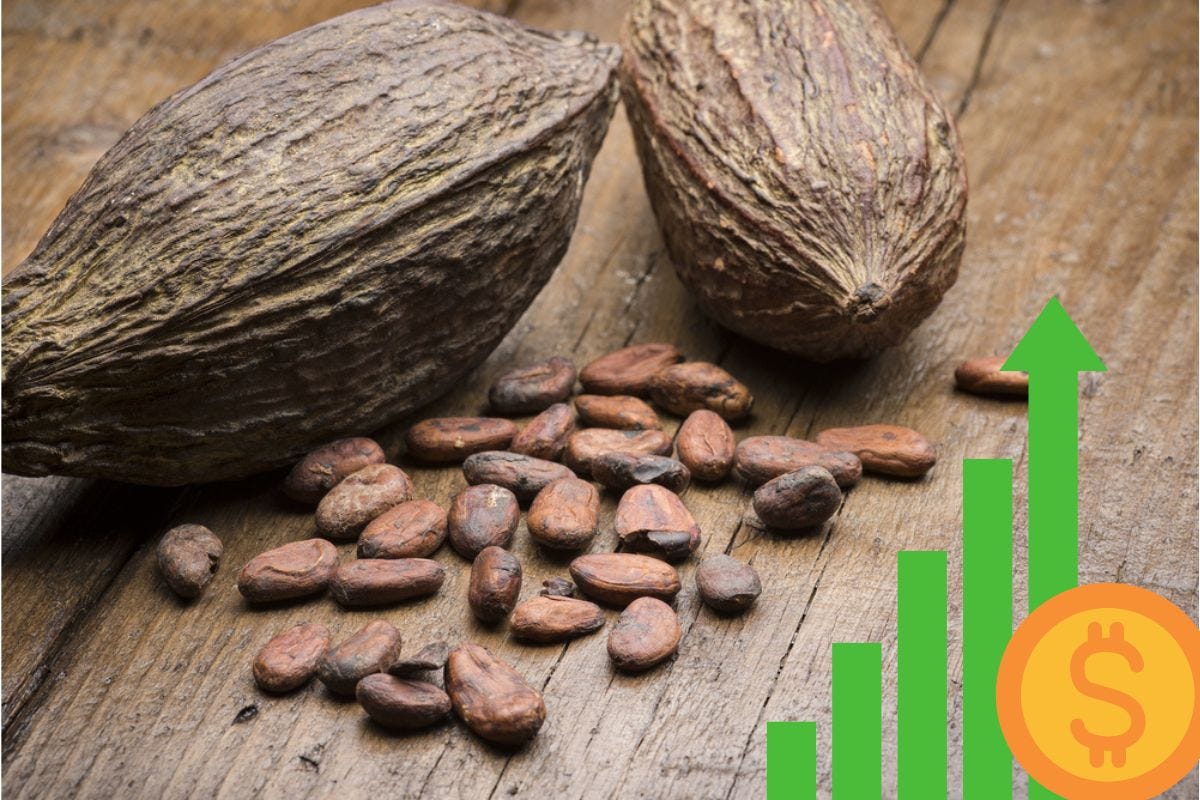 Prezzi da record per la fava di cacao, raggiunto il massimo storico