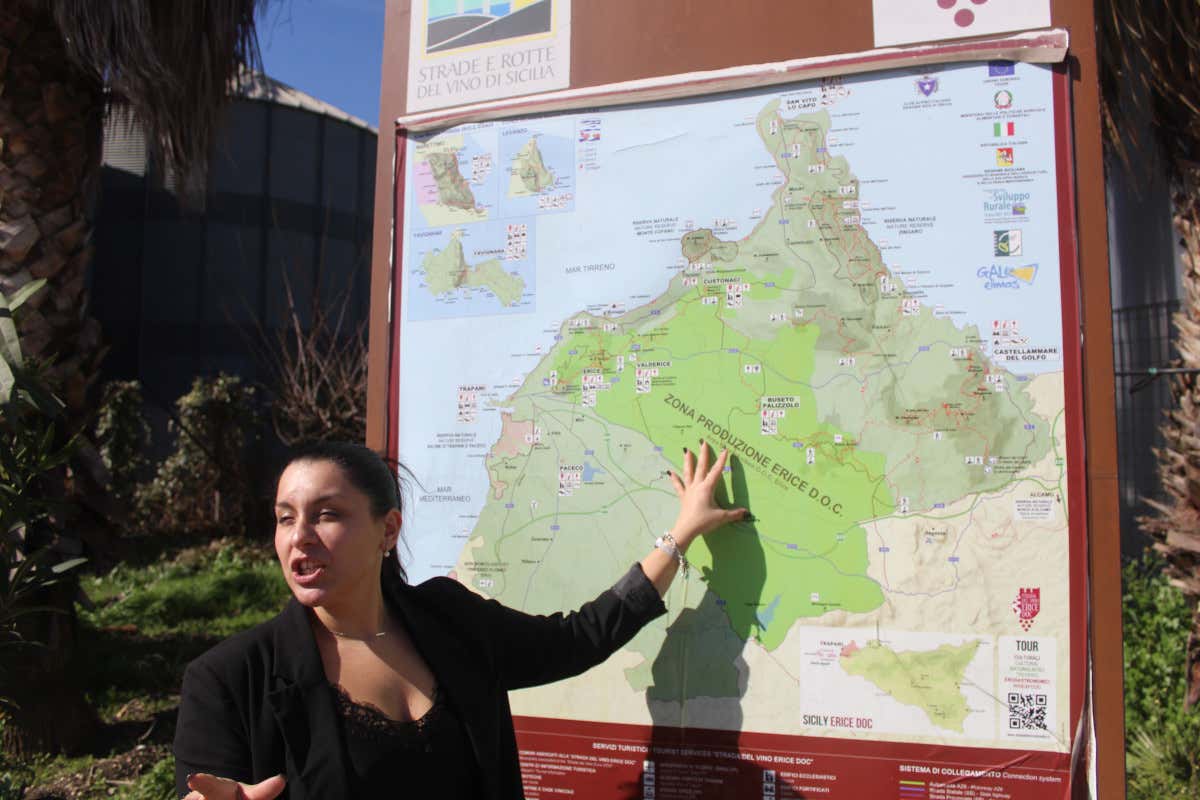 Cantine Fazio: il tempo, il territorio e l’identità del vino siciliano