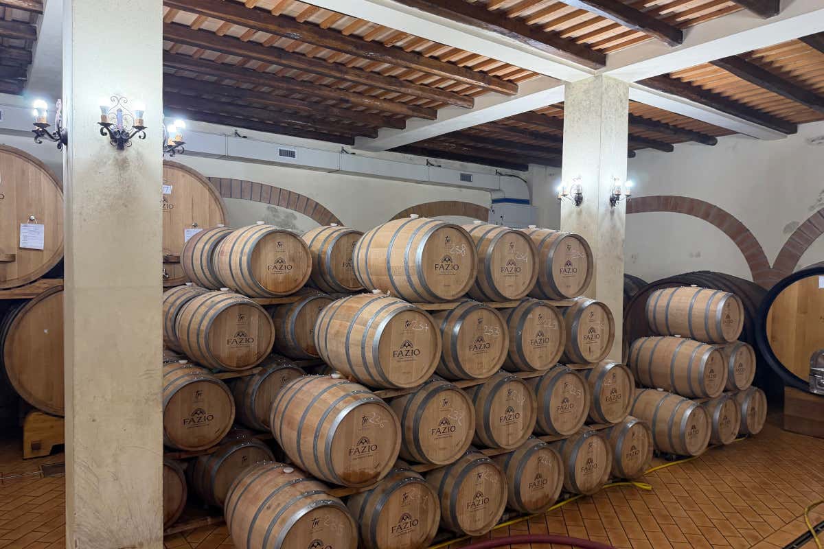 Cantine Fazio: il tempo, il territorio e l’identità del vino siciliano