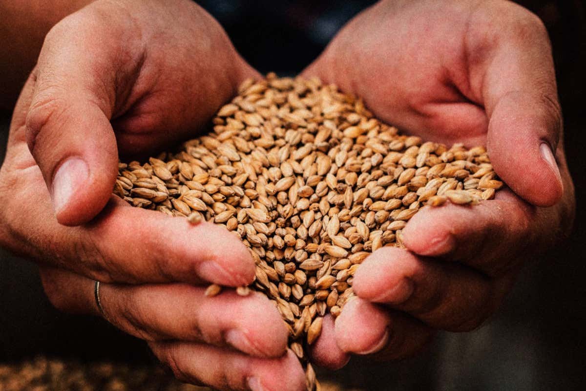 Vespri Siciliani e birra artigianale: un birrificio dell’isola si ispira alla rivolta del 1282