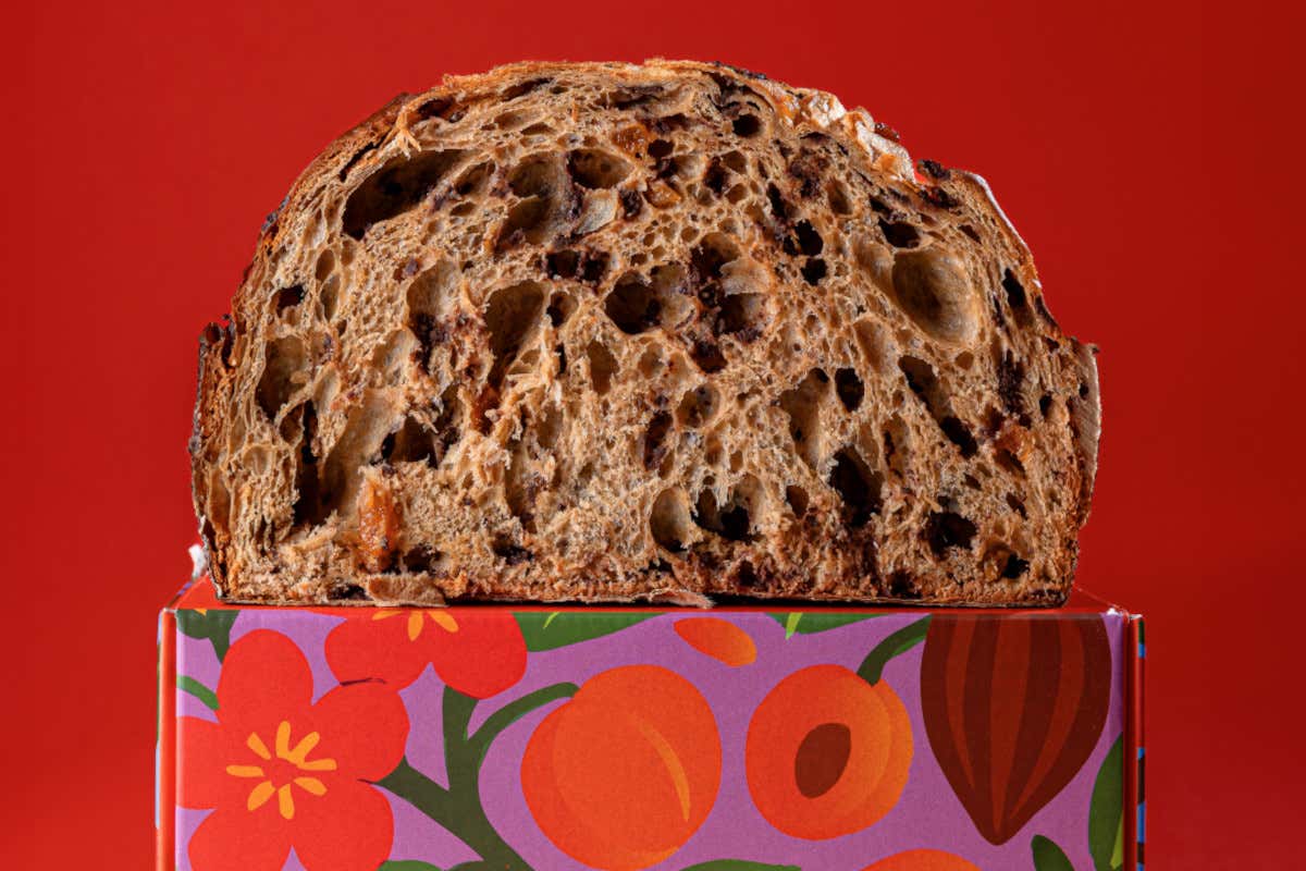 Clementina: il panettone albicocca e cioccolato